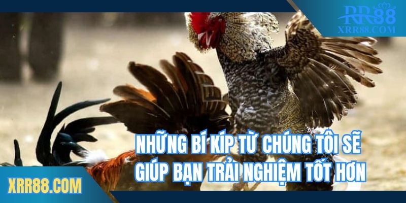 Những bí kíp từ chúng tôi sẽ giúp bạn trải nghiệm tốt hơn