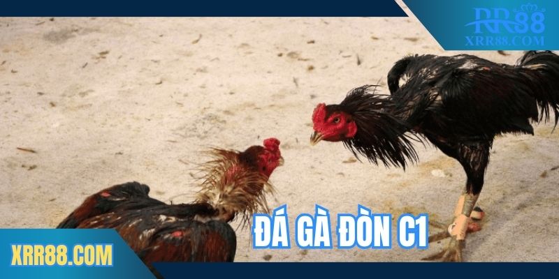 da-ga-don-c1