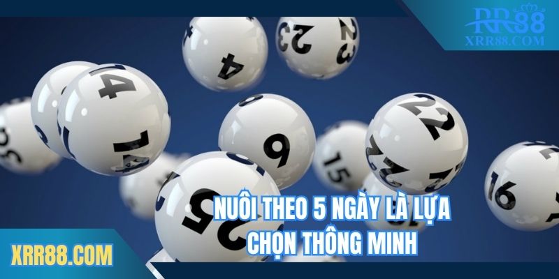 Nuôi theo 5 ngày là lựa chọn thông minh