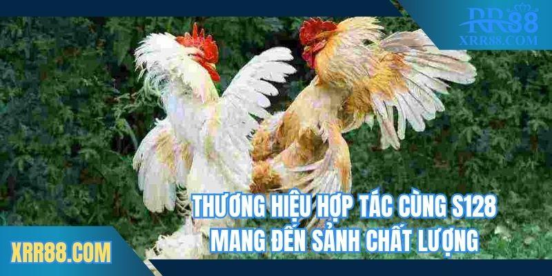 Thương hiệu hợp tác cùng S128 mang đế sảnh chất lượng