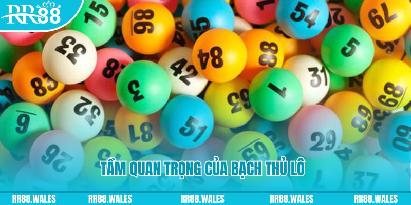Tầm quan trọng của bạch thủ lô trong sân chơi lô đề tại Trang Chủ RR88