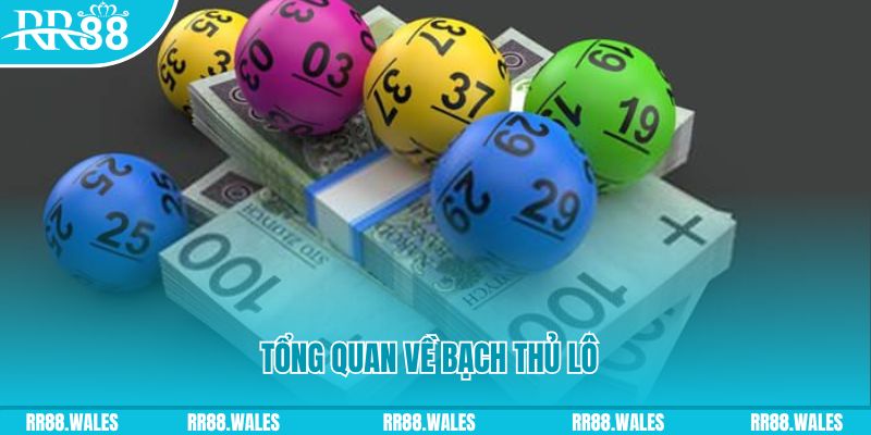 Tổng quan về bạch thủ lô trong sân chơi lô đề Trang Chủ RR88