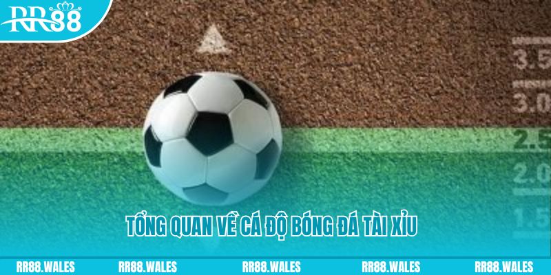 Tổng quan về cá độ bóng đá tài xỉu tại Trang Chủ RR88