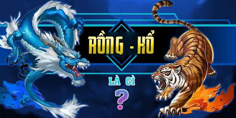 Tìm hiểu cách chơi và đặt cược Dragon Tiger