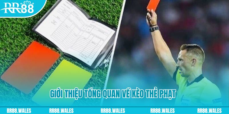 Giới thiệu tổng quan về kèo thẻ phạt tại nhà cái Trang Chủ RR88
