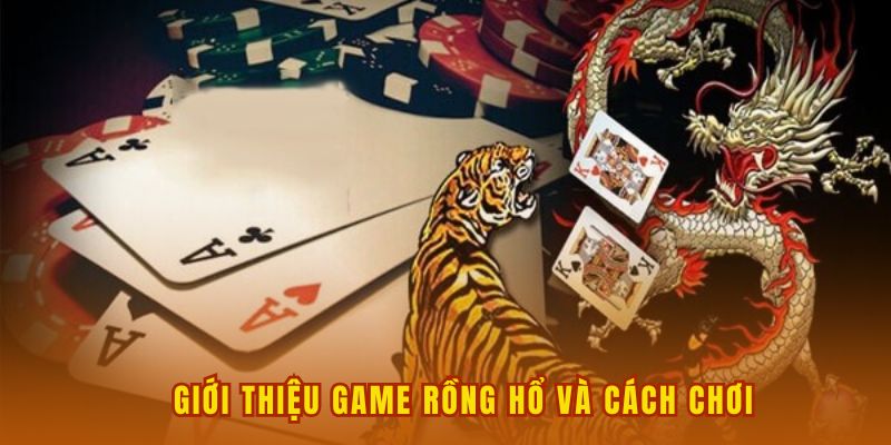 Rồng hổ