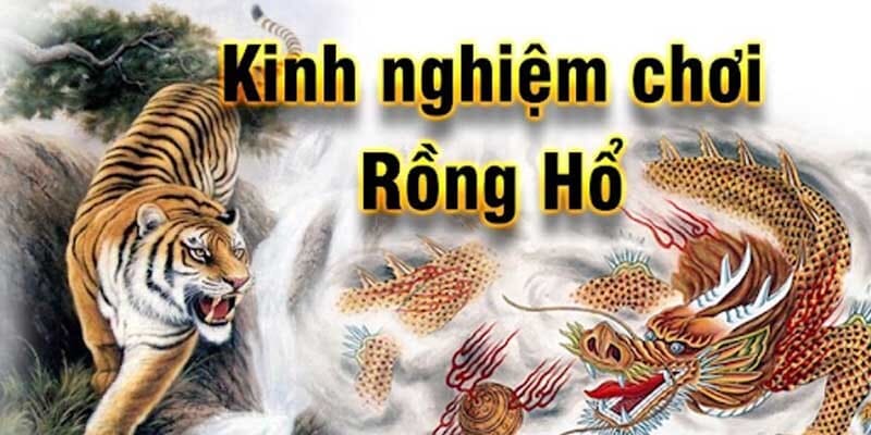Mẹo hay chơi game Rồng Hổ kl99 giúp bạn thắng lớn