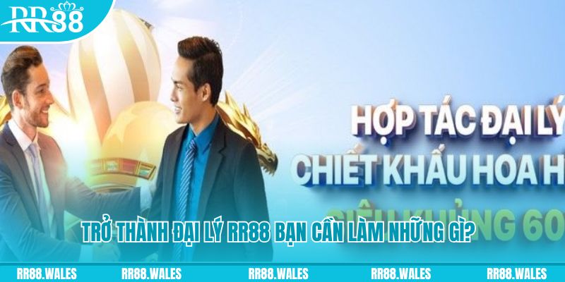Trở thành đại lý Trang Chủ RR88 bạn cần làm những gì?