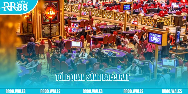 Tổng quan sảnh baccarat là gì tại Trang Chủ RR88